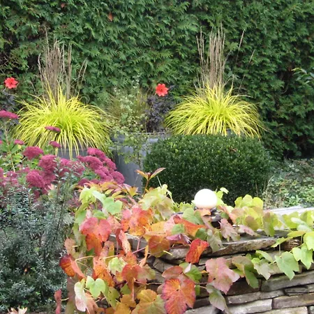 Reve Gourmand 3* Beauraing